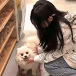 坦克连最新版本下载